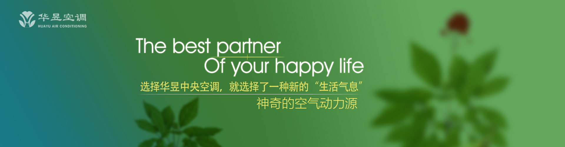 是非分明网